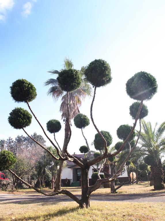 Thai Story Seogwipo Bagian luar foto